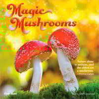 image Magic Mushrooms 2027 Wall Calendar Main Product Image