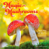 image Magic Mushrooms 2027 Wall Calendar Main Product Image
