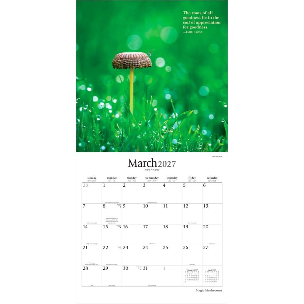 Magic Mushrooms 2027 Wall Calendar Second Alternate Image