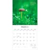 image Magic Mushrooms 2027 Wall Calendar Second Alternate Image