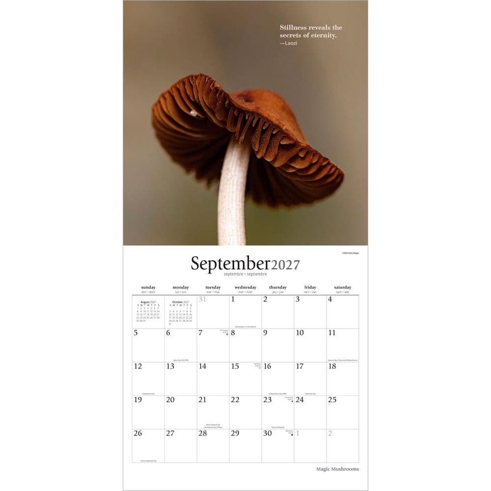 Magic Mushrooms 2027 Wall Calendar Third Alternate Image