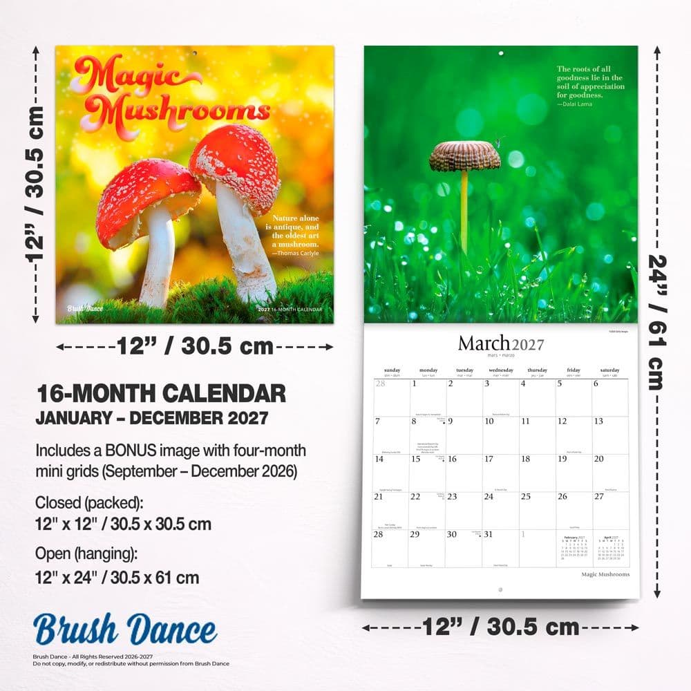 Magic Mushrooms 2027 Wall Calendar Sixth Alternate Image
