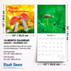 image Magic Mushrooms 2027 Wall Calendar Sixth Alternate Image