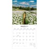 image Pathways 2027 Wall Calendar Second Alternate Image
