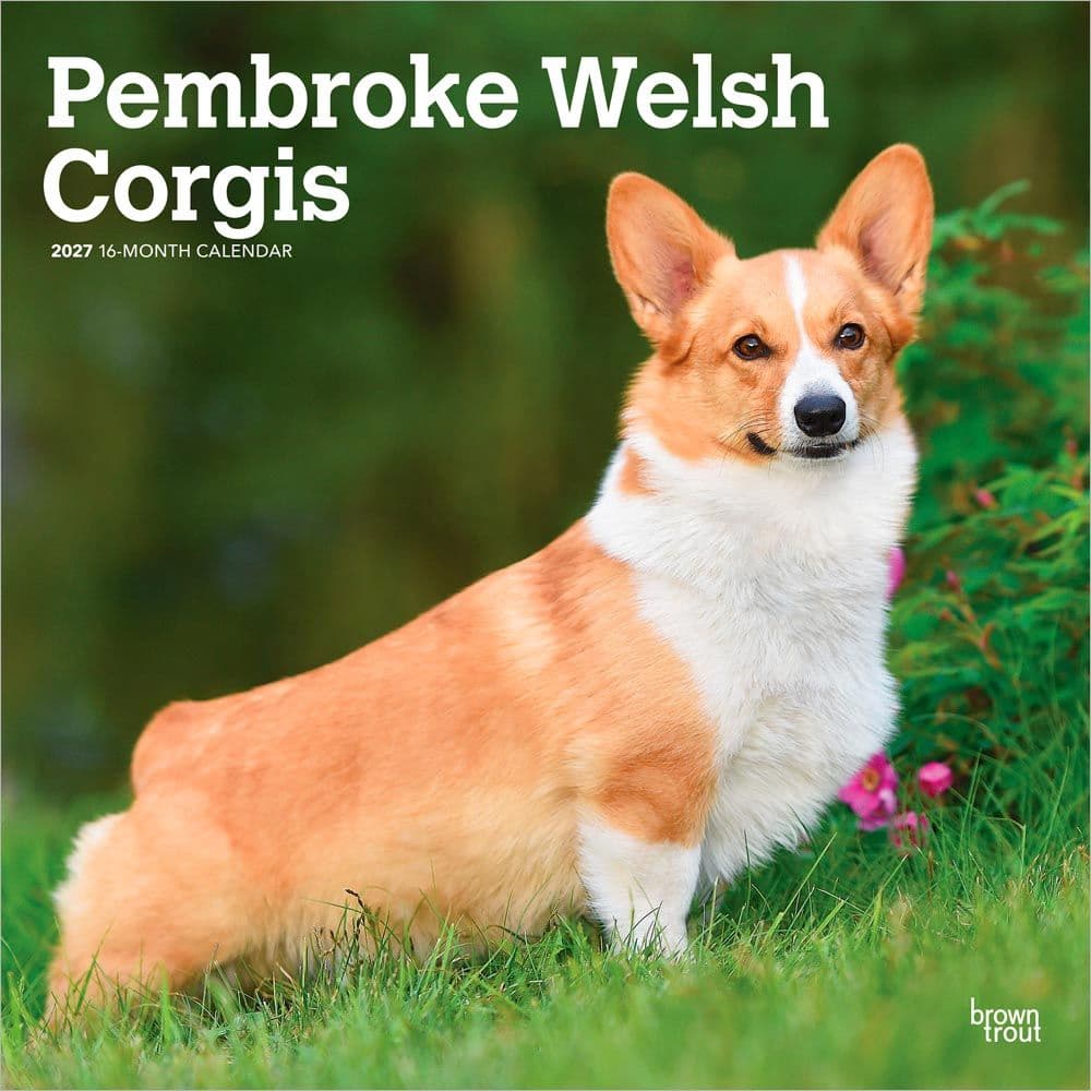Welsh Corgis Pembroke 2027 Wall Calendar Main Product Image
