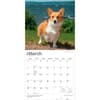 image Welsh Corgis Pembroke 2027 Wall Calendar Second Alternate Image