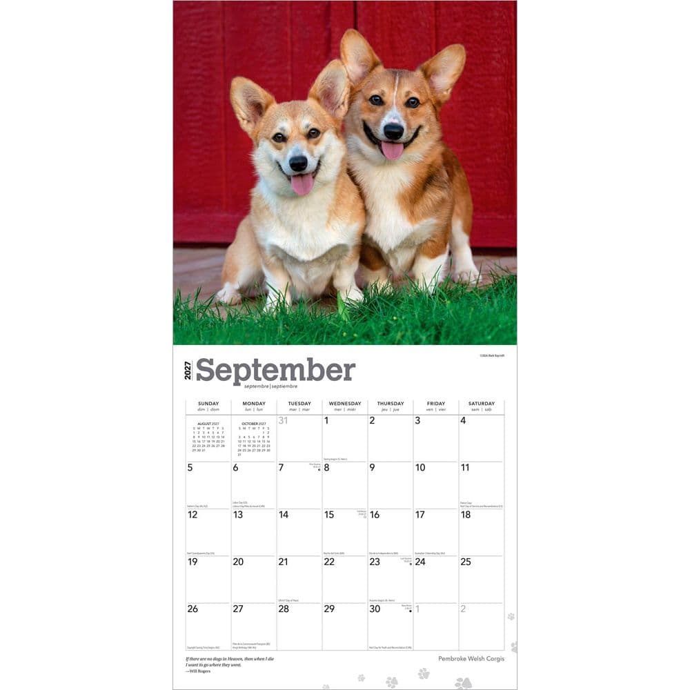 Welsh Corgis Pembroke 2027 Wall Calendar Third Alternate Image