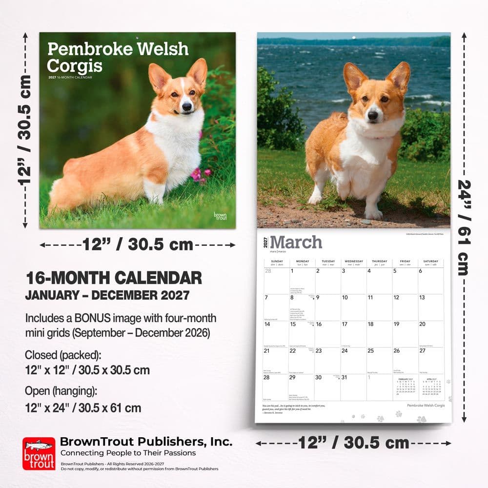 Welsh Corgis Pembroke 2027 Wall Calendar Sixth Alternate Image