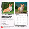 image Welsh Corgis Pembroke 2027 Wall Calendar Sixth Alternate Image
