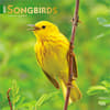 image Songbirds Square 2027 Wall Calendar Main Product Image