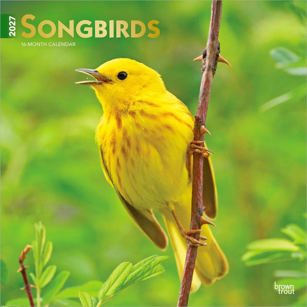 image Songbirds Square 2027 Wall Calendar Main Product Image