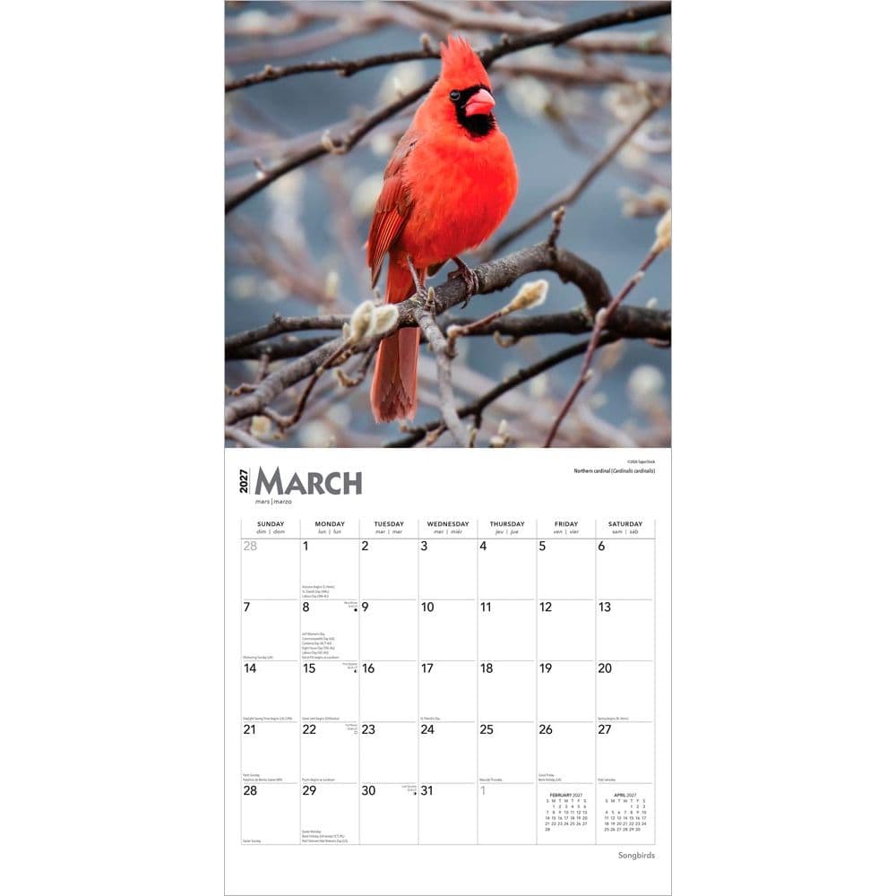 Songbirds Square 2027 Wall Calendar Second Alternate Image