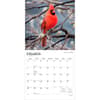 image Songbirds Square 2027 Wall Calendar Second Alternate Image