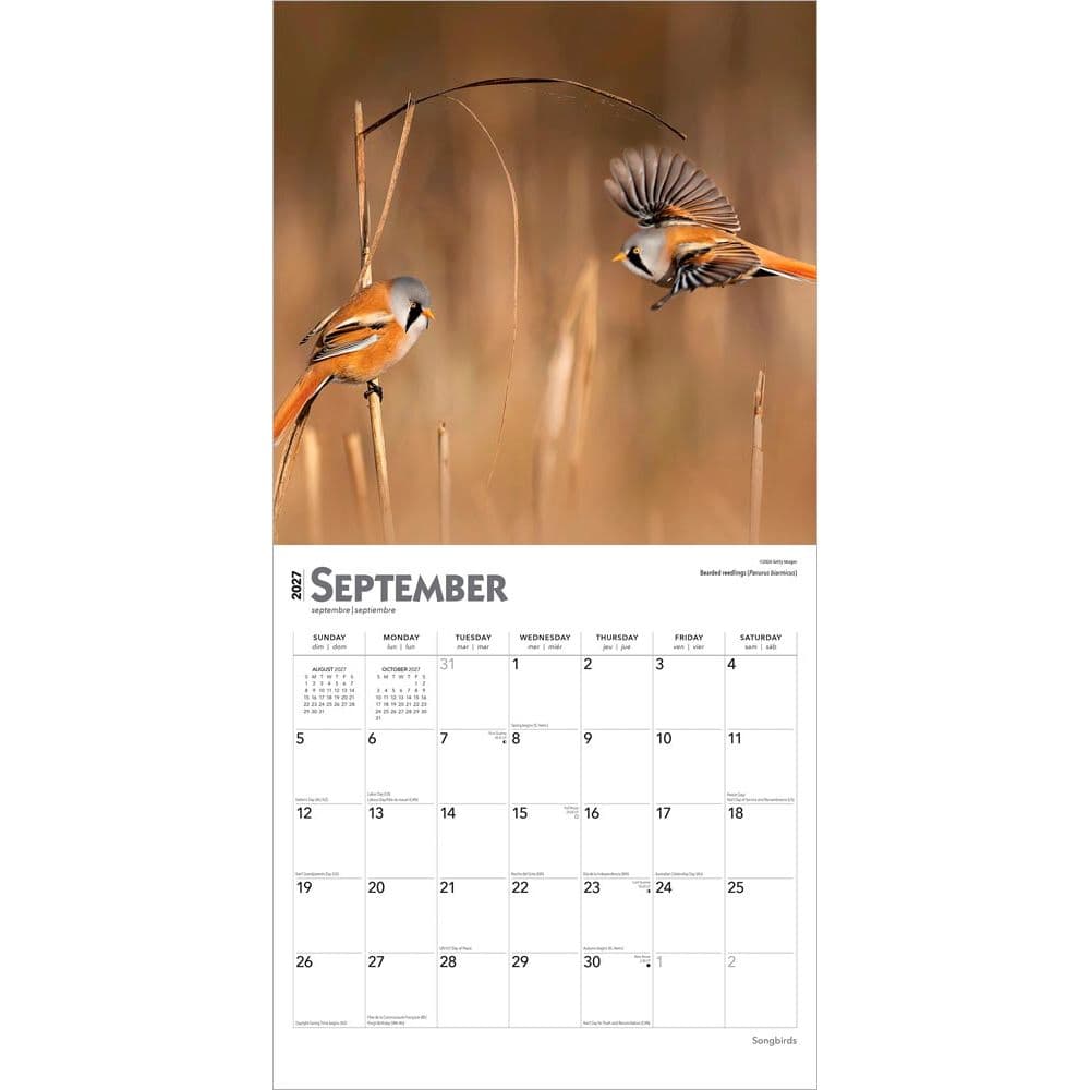 Songbirds Square 2027 Wall Calendar Third Alternate Image