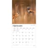 image Songbirds Square 2027 Wall Calendar Third Alternate Image