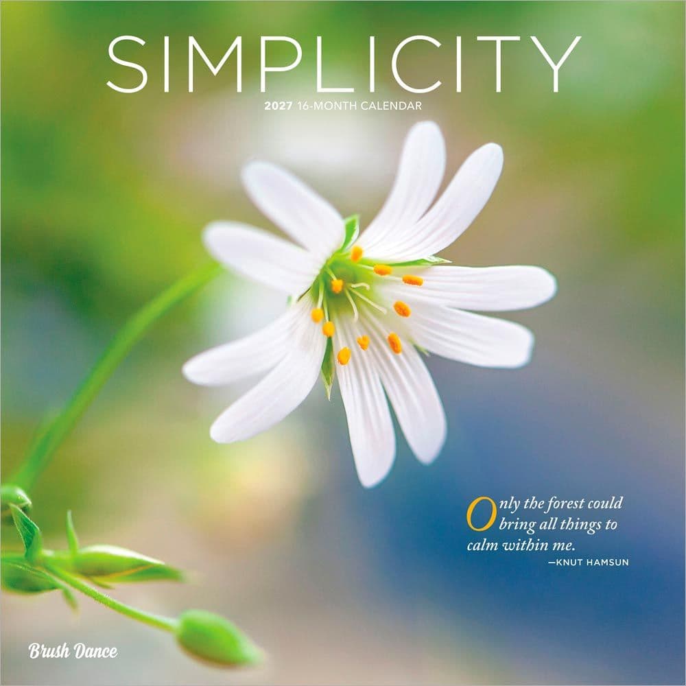 Simplicity Brush Dance 2027 Wall Calendar Main Product Image