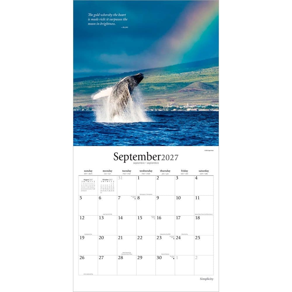 Simplicity Brush Dance 2027 Wall Calendar Third Alternate Image