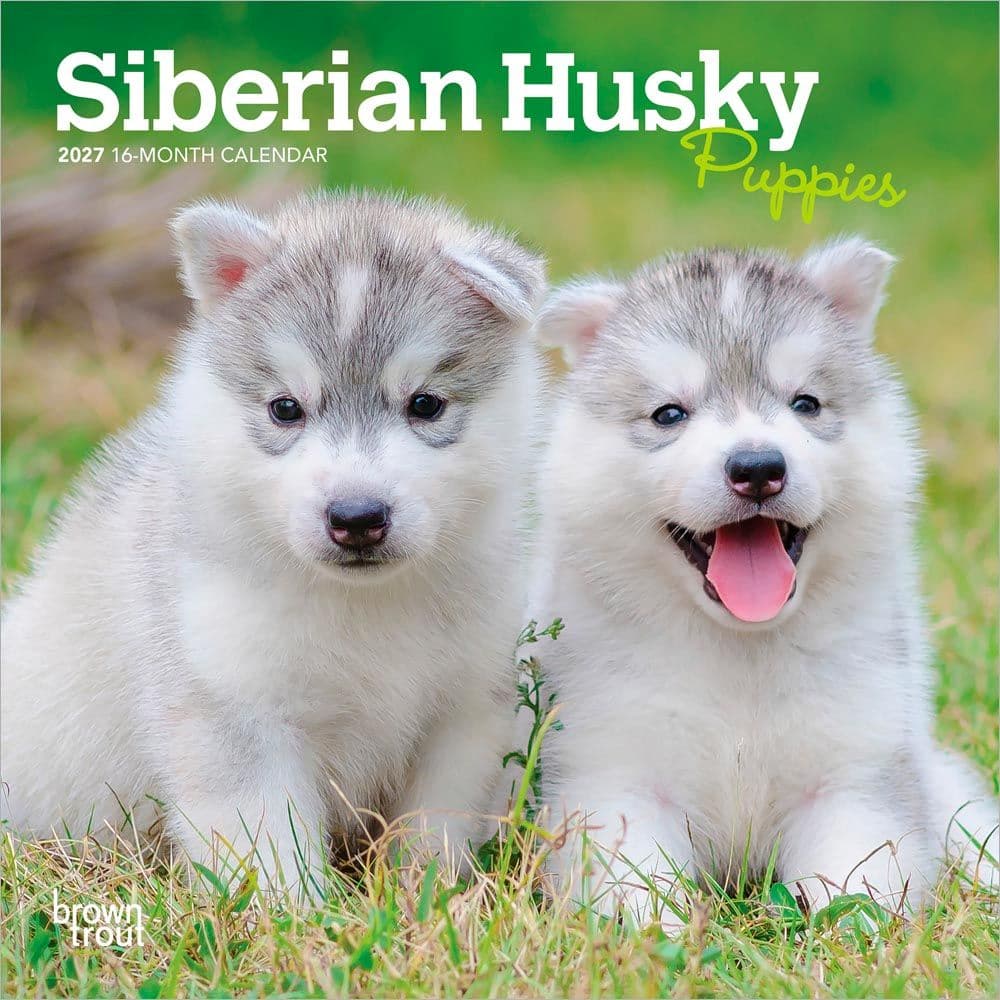 image Siberian Husky Puppies 2027 Mini Wall Calendar Main Product Image