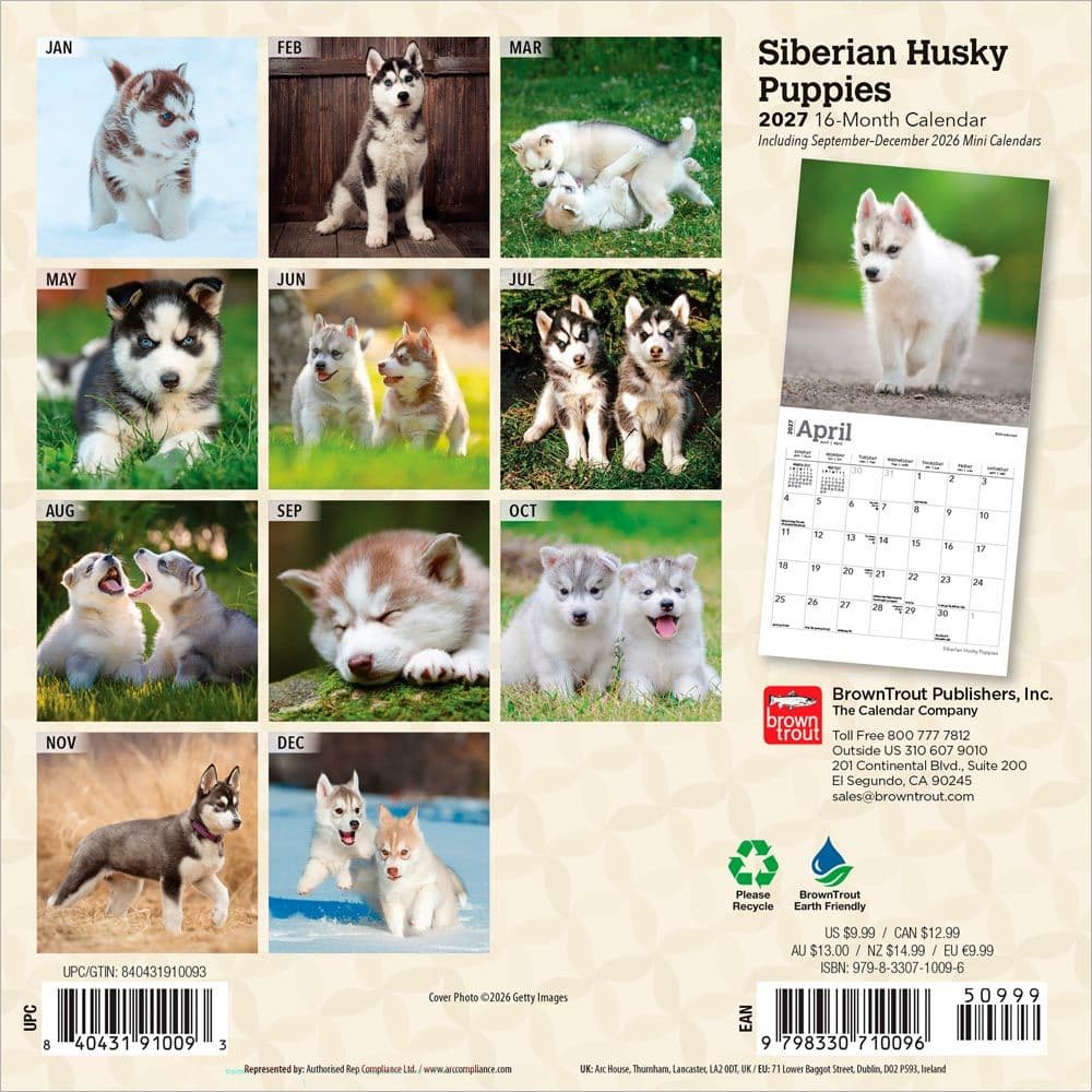 Siberian Husky Puppies 2027 Mini Wall Calendar First Alternate Image