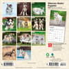 image Siberian Husky Puppies 2027 Mini Wall Calendar First Alternate Image