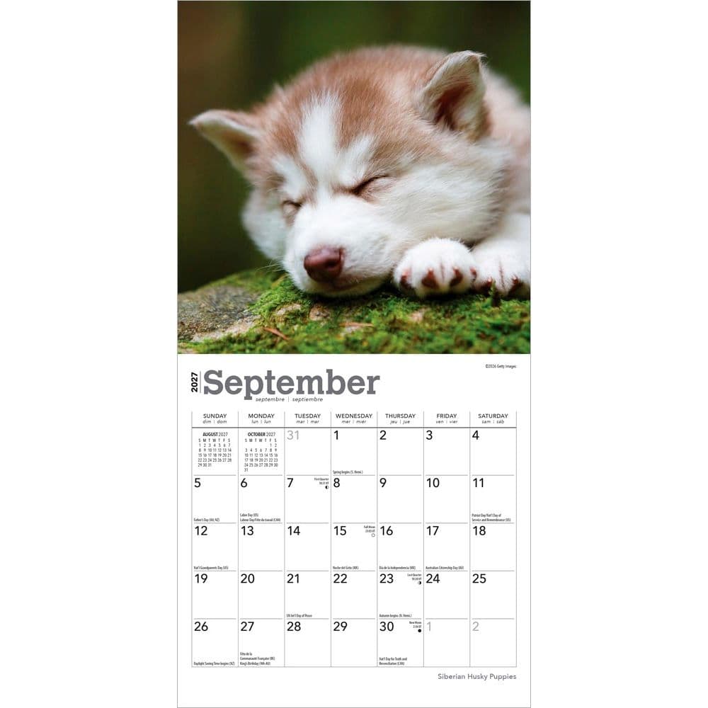 Siberian Husky Puppies 2027 Mini Wall Calendar Third Alternate Image