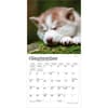image Siberian Husky Puppies 2027 Mini Wall Calendar Third Alternate Image