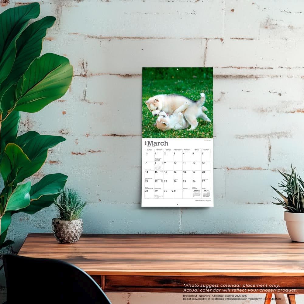 Siberian Husky Puppies 2027 Mini Wall Calendar Fourth Alternate Image