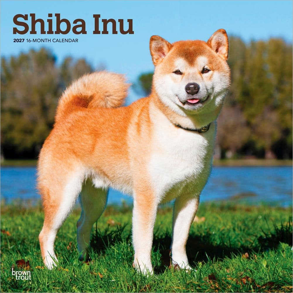 Shiba Inu 2027 Wall Calendar Main Product Image