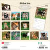 image Shiba Inu 2027 Wall Calendar First Alternate Image