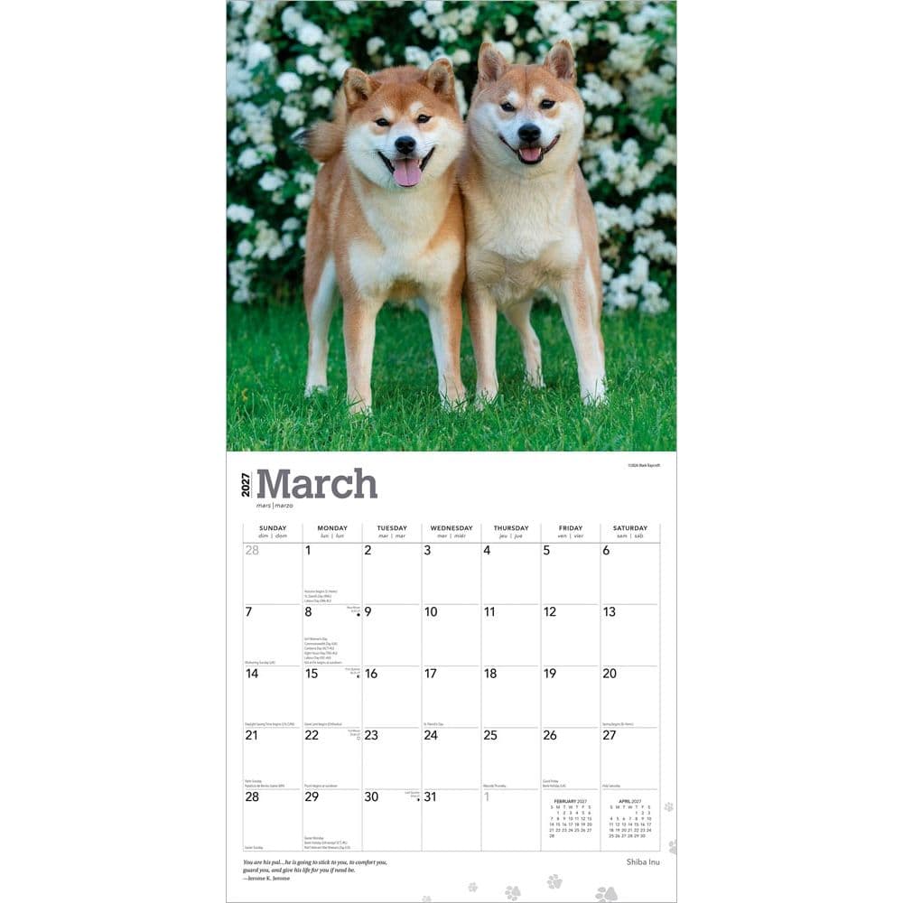 Shiba Inu 2027 Wall Calendar Second Alternate Image