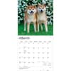 image Shiba Inu 2027 Wall Calendar Second Alternate Image