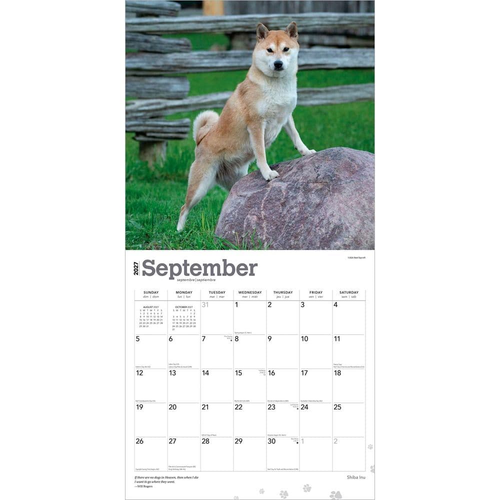 Shiba Inu 2027 Wall Calendar Third Alternate Image