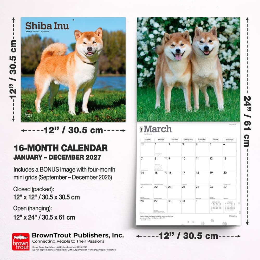 Shiba Inu 2027 Wall Calendar Sixth Alternate Image