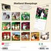 image Shetland Sheepdogs 2027 Wall Calendar First Alternate Image