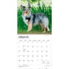 image Shetland Sheepdogs 2027 Wall Calendar Second Alternate Image