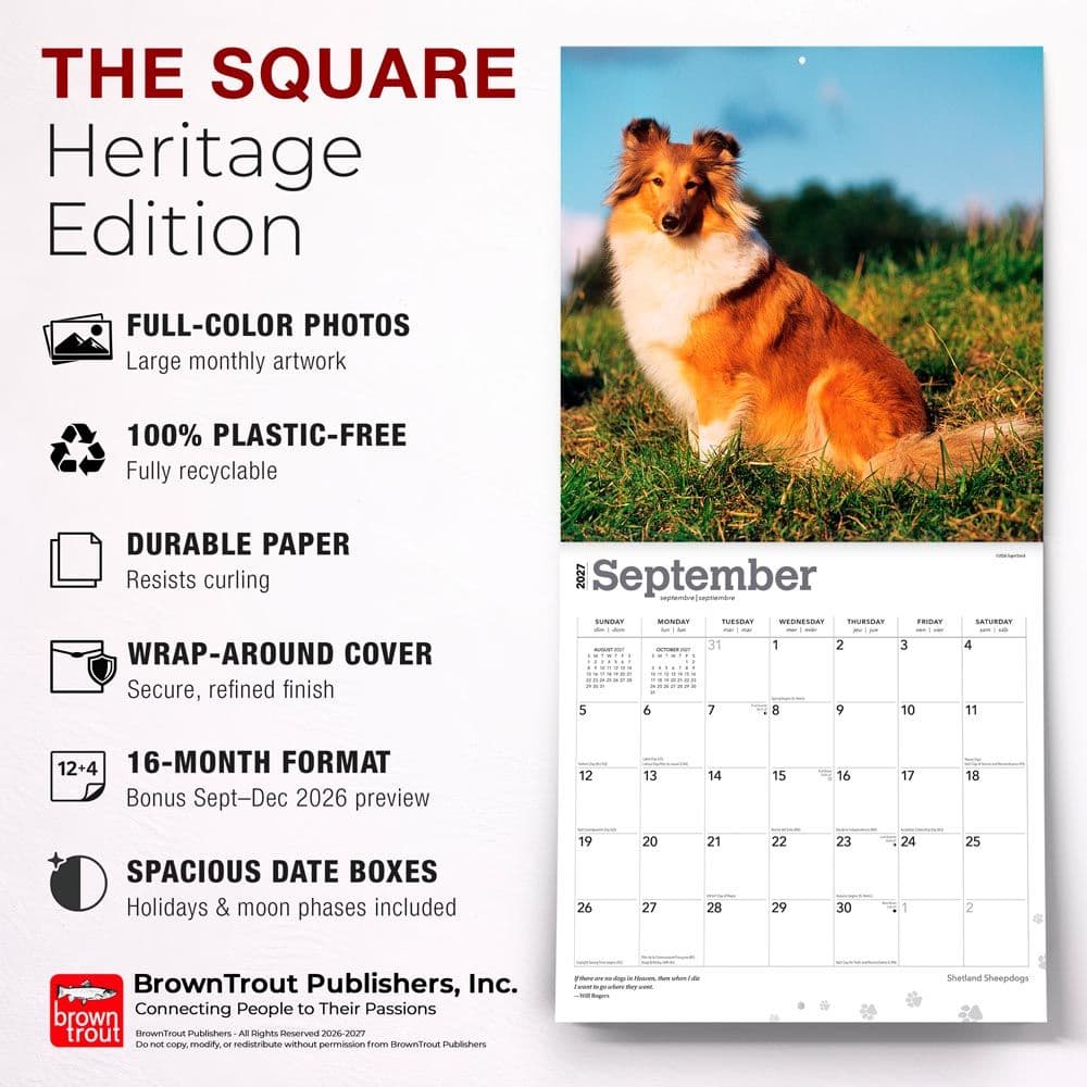 Shetland Sheepdogs 2027 Wall Calendar Fifth Alternate Image