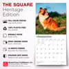 image Shetland Sheepdogs 2027 Wall Calendar Fifth Alternate Image