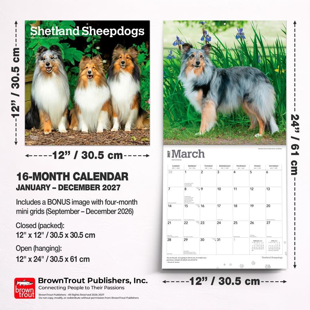Shetland Sheepdogs 2027 Wall Calendar Sixth Alternate Image