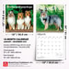 image Shetland Sheepdogs 2027 Wall Calendar Sixth Alternate Image