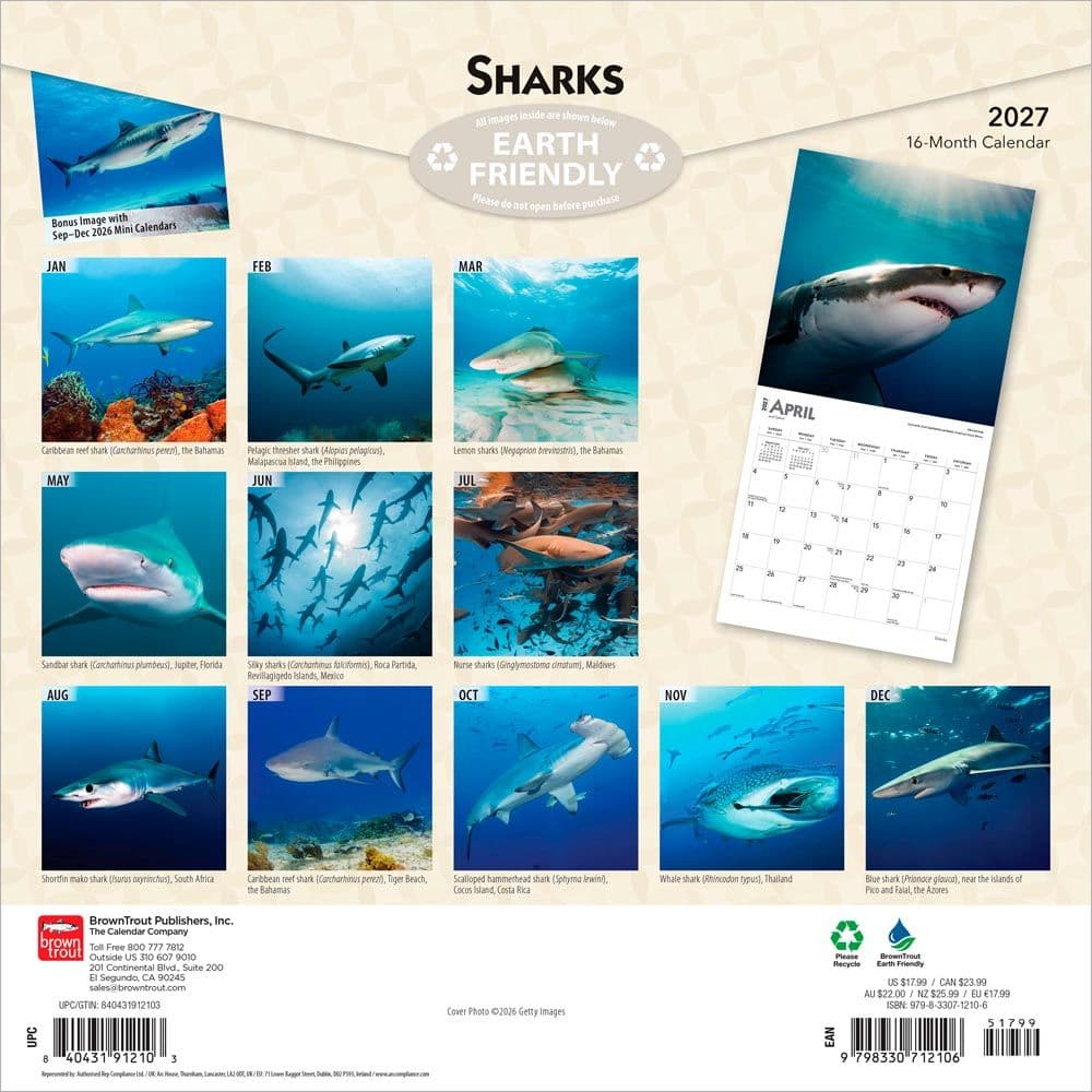 Sharks 2027 Wall Calendar First Alternate Image