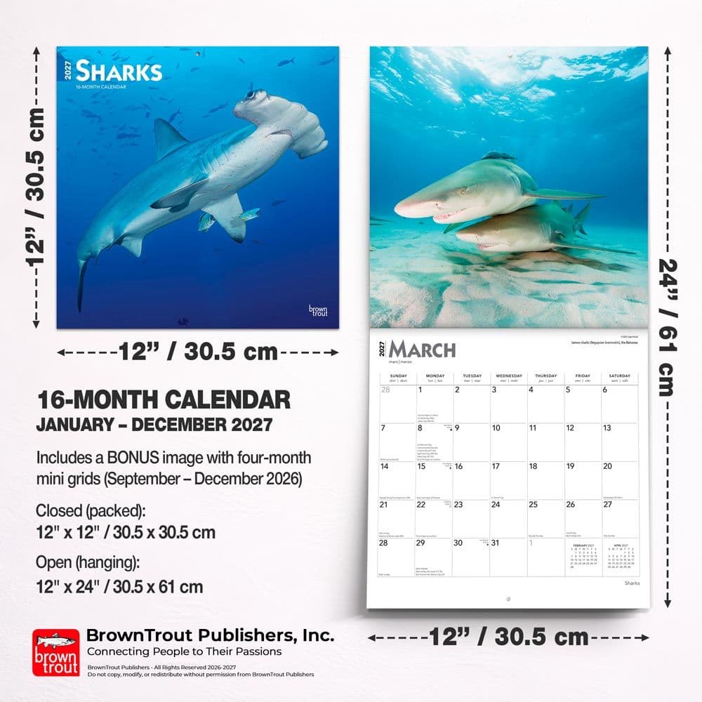 Sharks 2027 Wall Calendar Sixth Alternate Image
