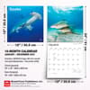 image Sharks 2027 Wall Calendar Sixth Alternate Image