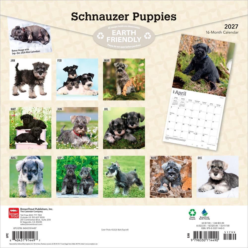 Schnauzer Puppies 2027 Wall Calendar First Alternate Image