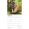image Schnauzer Puppies 2027 Wall Calendar Second Alternate Image