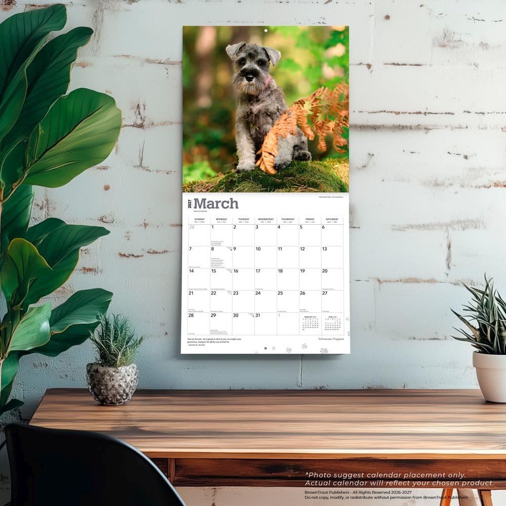 Schnauzer Puppies 2027 Wall Calendar Fourth Alternate Image