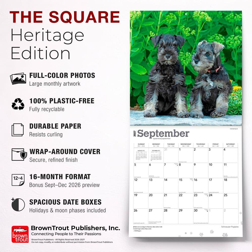 Schnauzer Puppies 2027 Wall Calendar Fifth Alternate Image