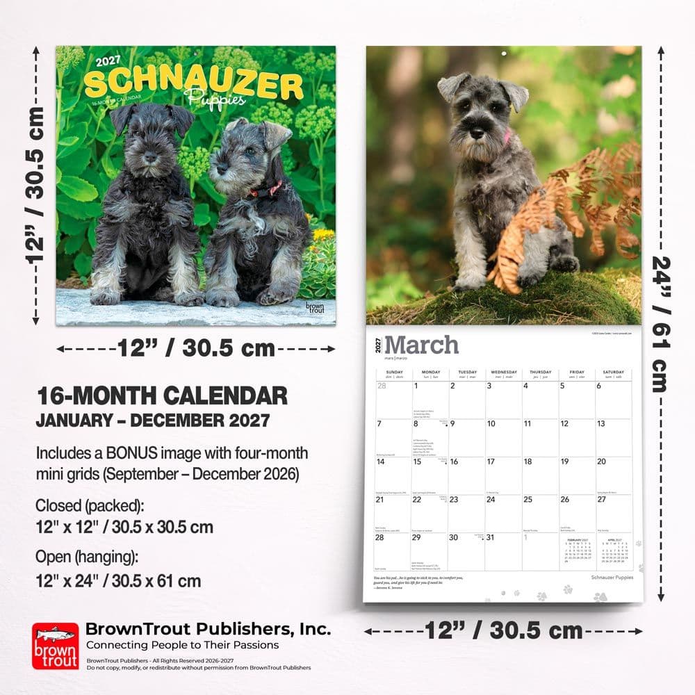 Schnauzer Puppies 2027 Wall Calendar Sixth Alternate Image