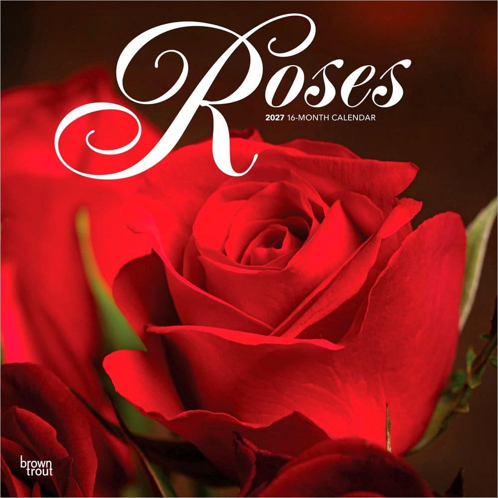 Roses 2027 Wall Calendar Main Product Image