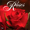 image Roses 2027 Wall Calendar Main Product Image