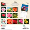 image Roses 2027 Wall Calendar First Alternate Image